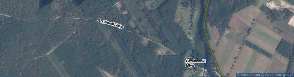 Zdjęcie satelitarne Grzybowski Młyn ul.